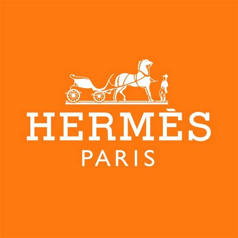 hermes television flussi|hermes brand.